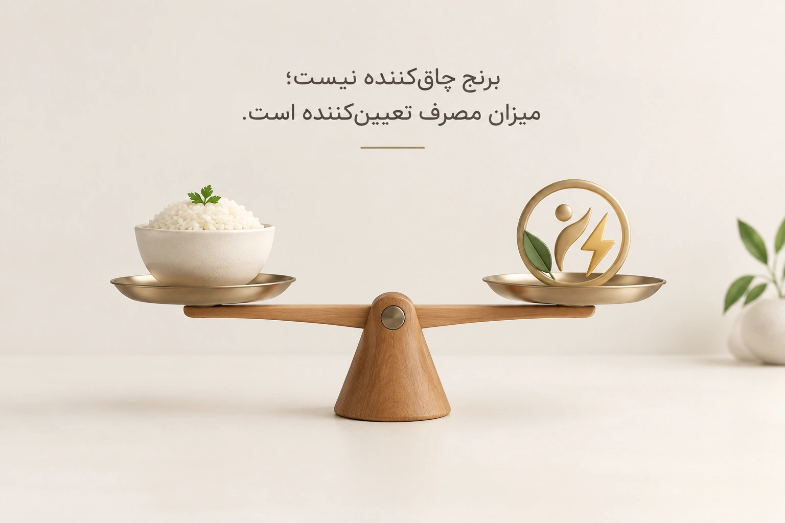 آیا خوردن برنج باعث چاقی می شود؟ بررسی تأثیر برنج بر وزن