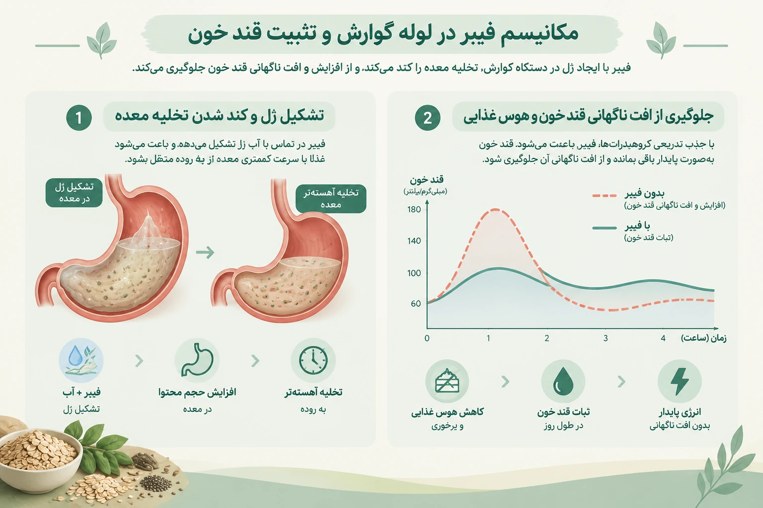 فیبر چگونه باعث افزایش سیری می‌ شود