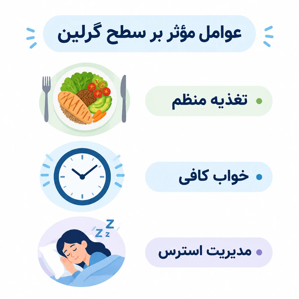 هورمون گرسنگی چیست؟ گرلین چگونه اشتها را کنترل می‌کند؟